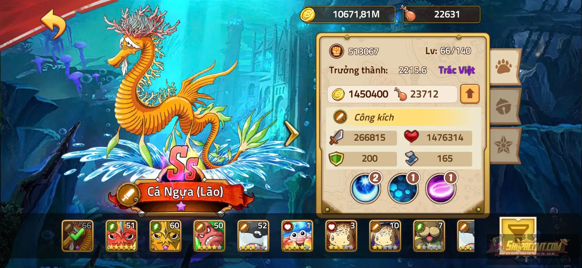 Account Image