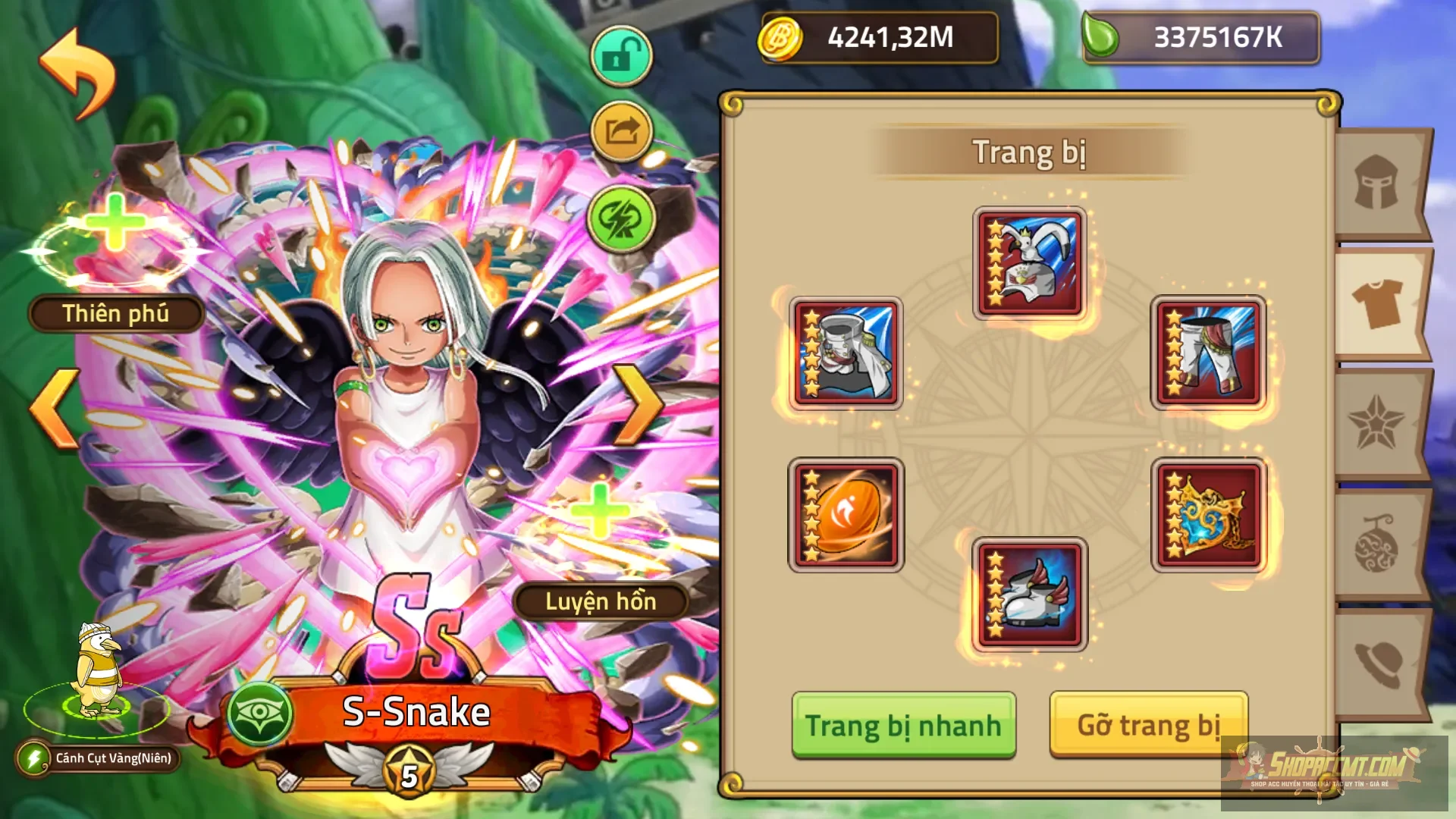 Account Image