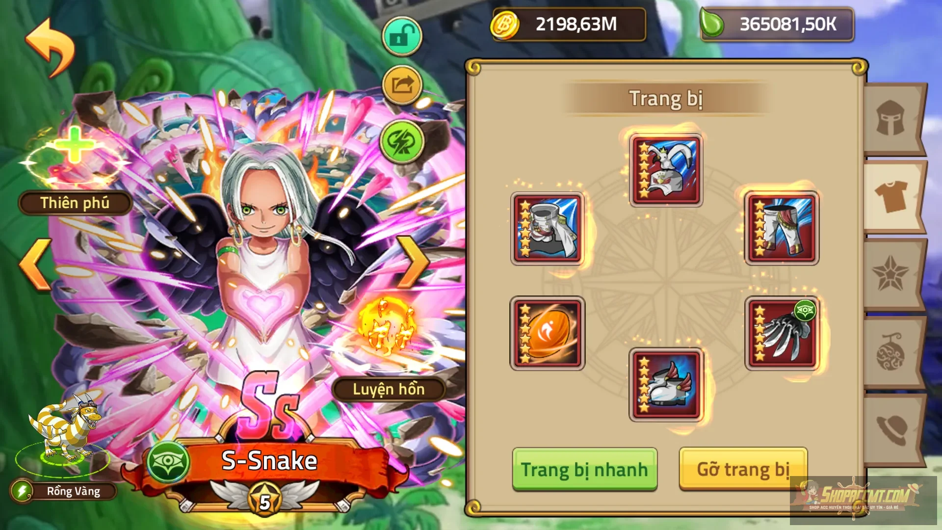Account Image