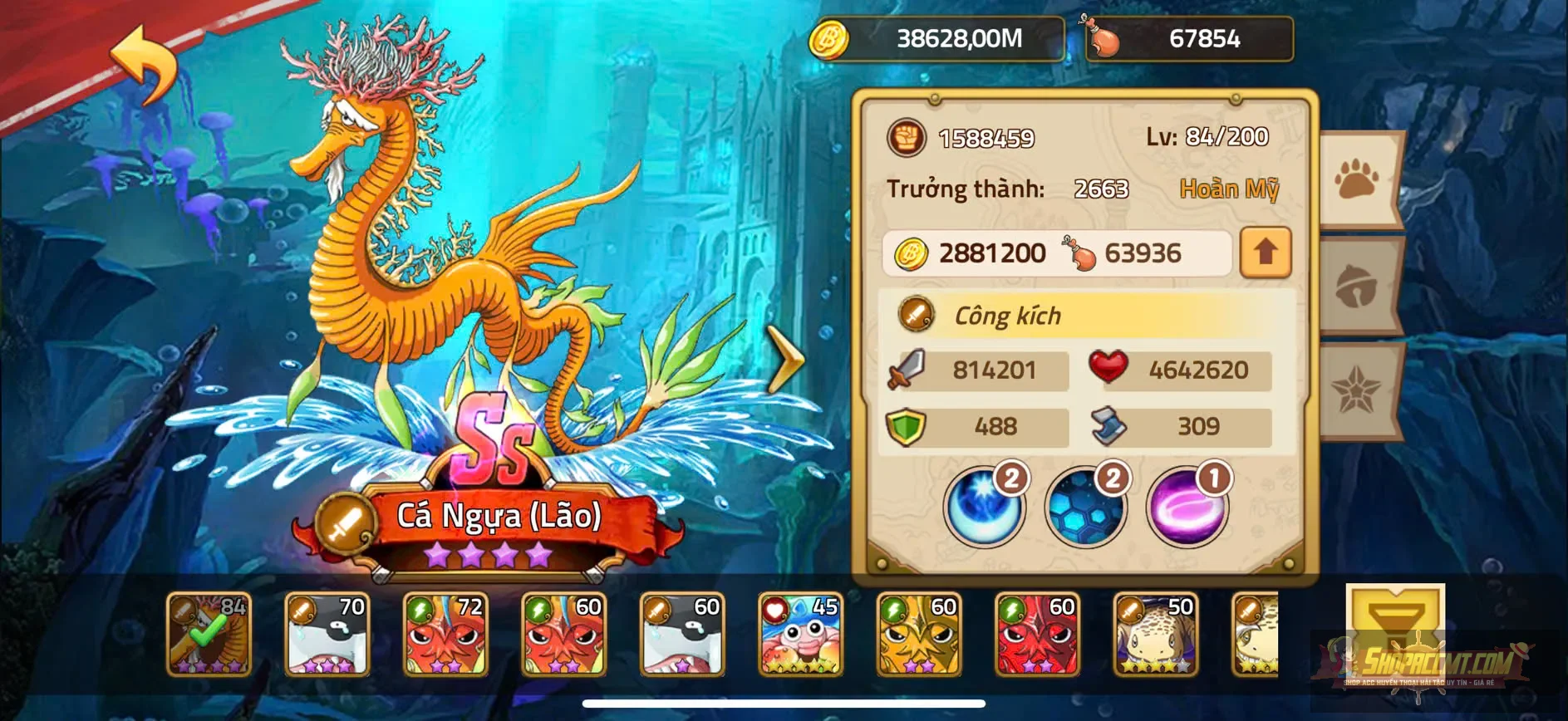 Account Image