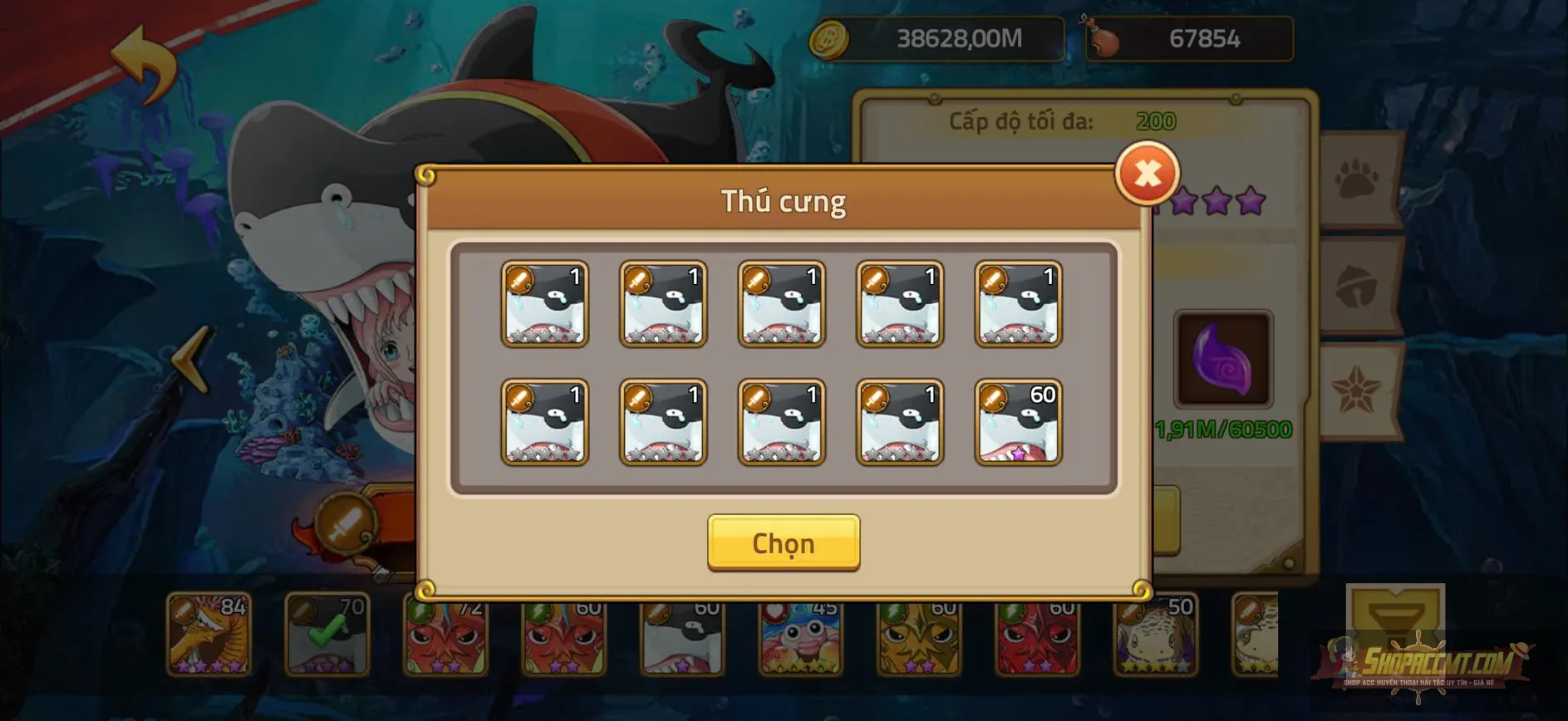 Account Image