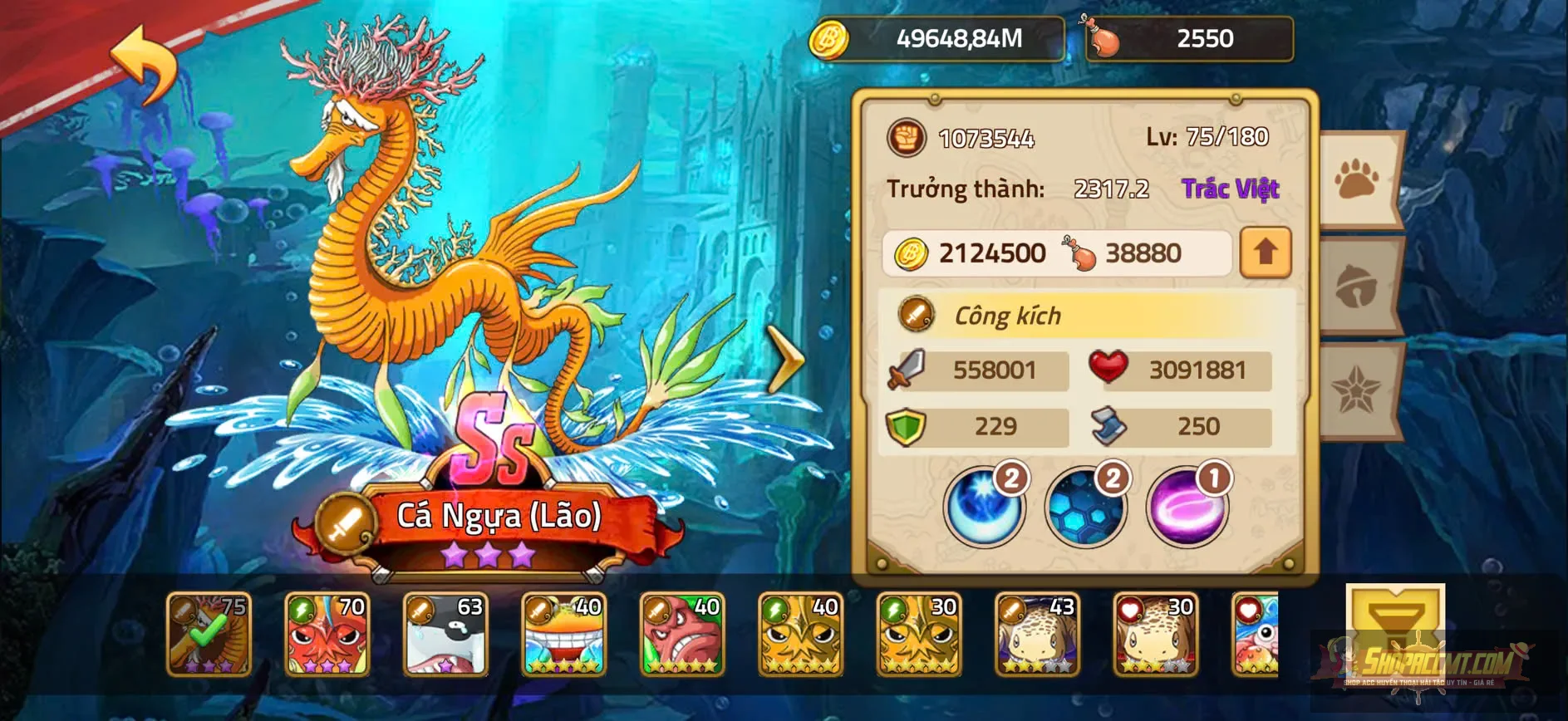 Account Image