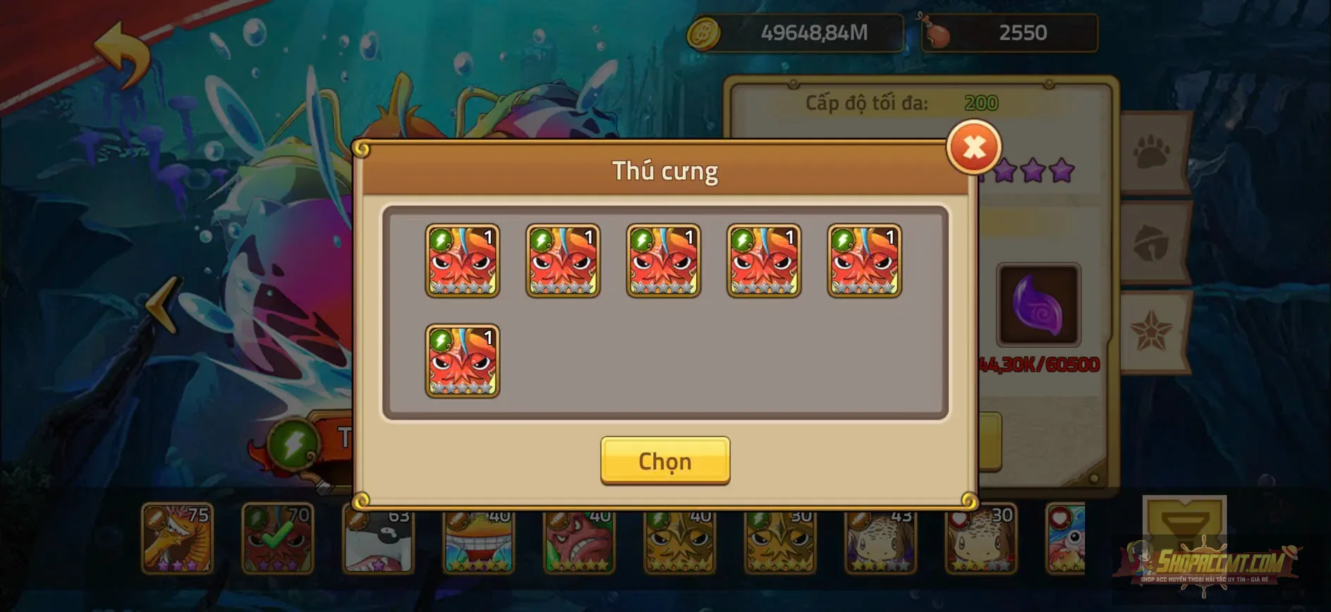 Account Image